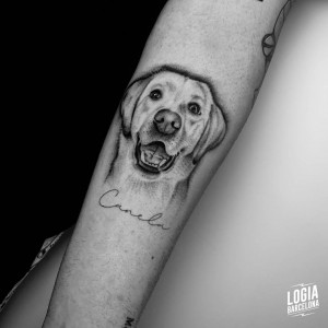 tatuaje_brazo_perro_feliz_logiabarcelona_kata